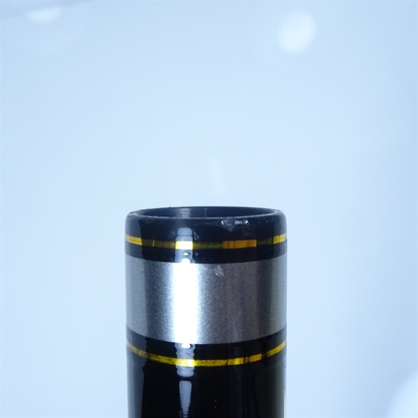 １９トーナメントキャスターＡＧＳタイプＴ２９－４００